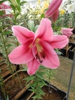 [4558 VH34 No02.JPG]